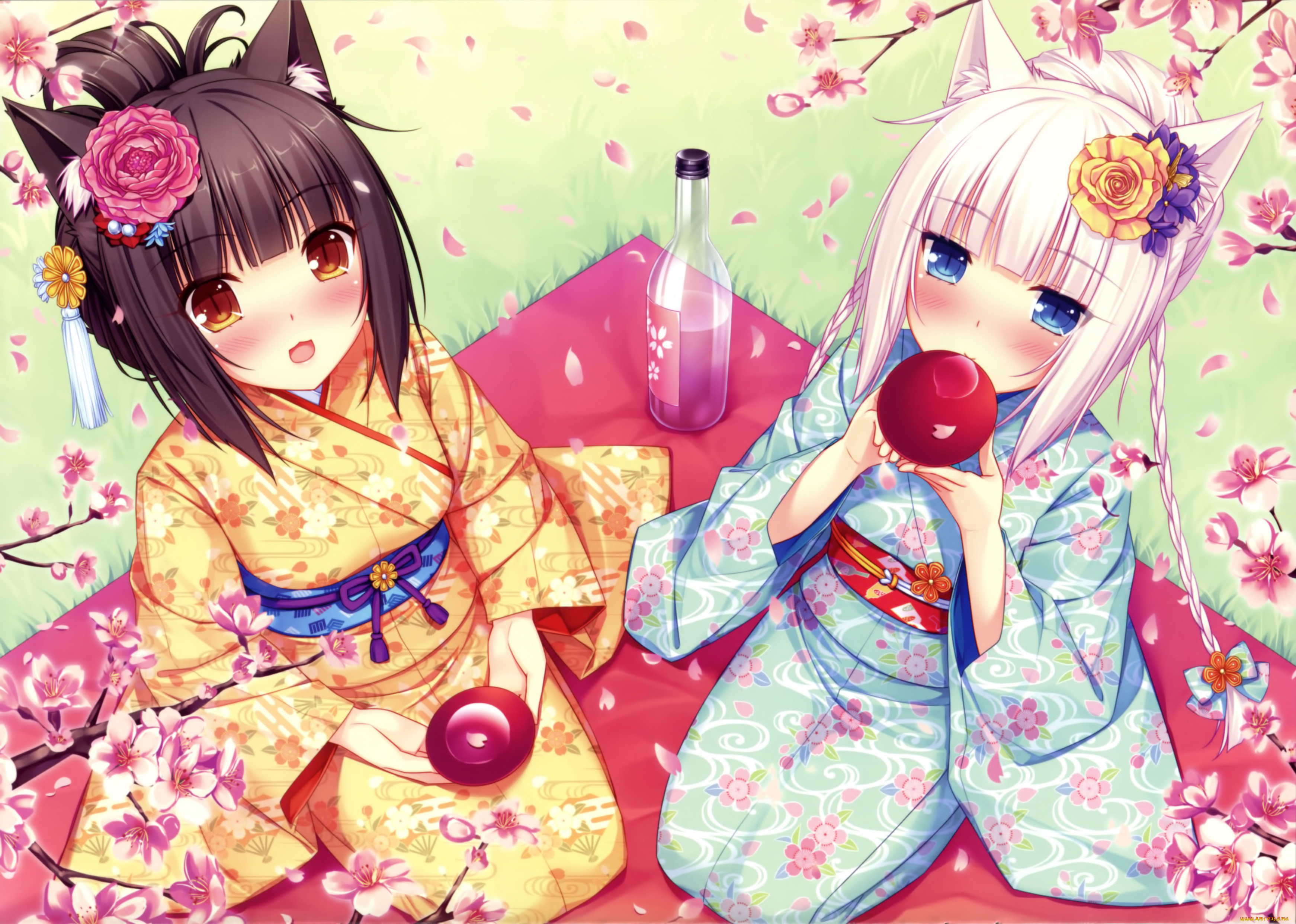 , nekopara, , , 